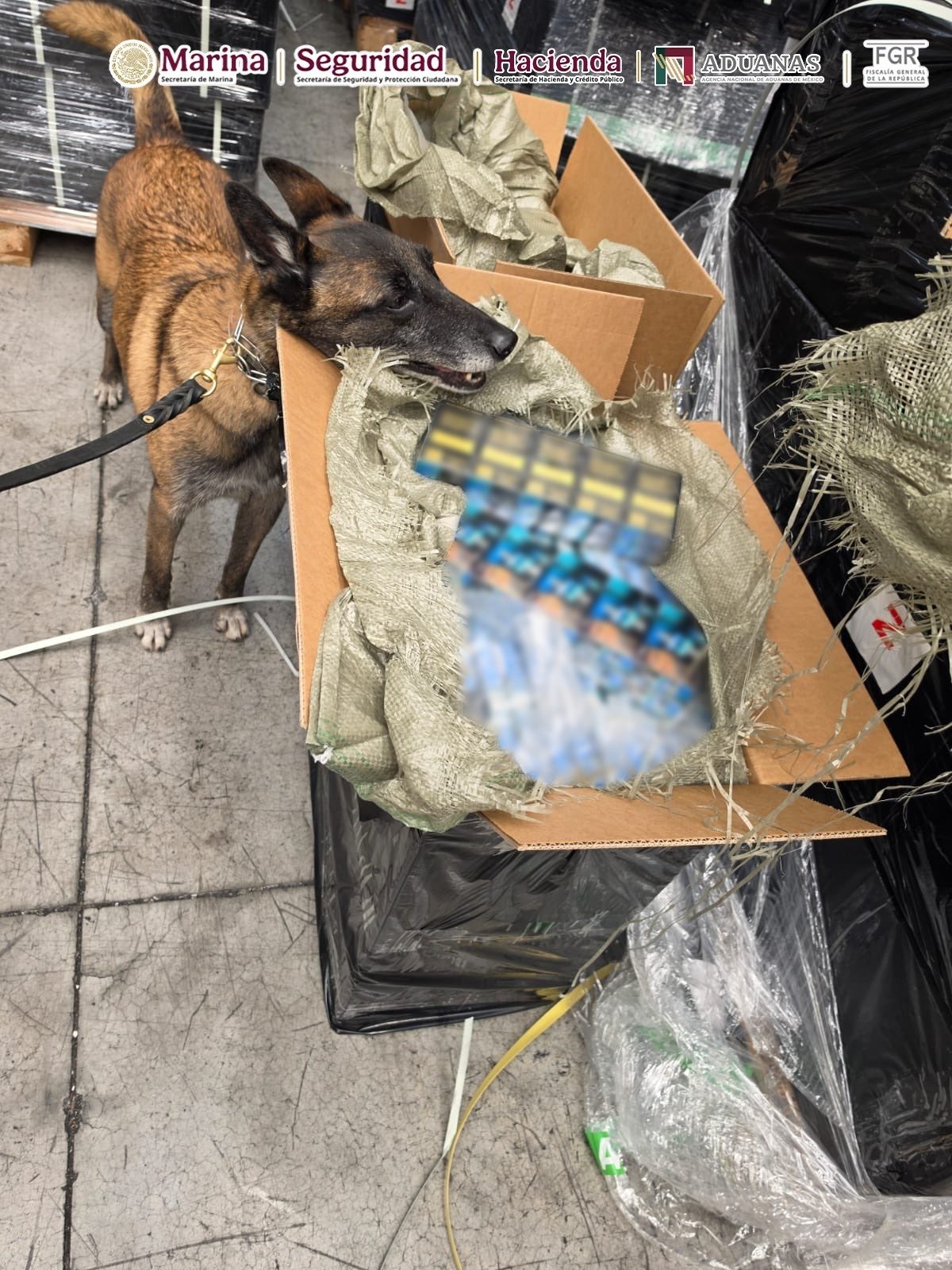 Decomisan más de 5.4 millones de cigarrillos en el AICM; venían de Singapur