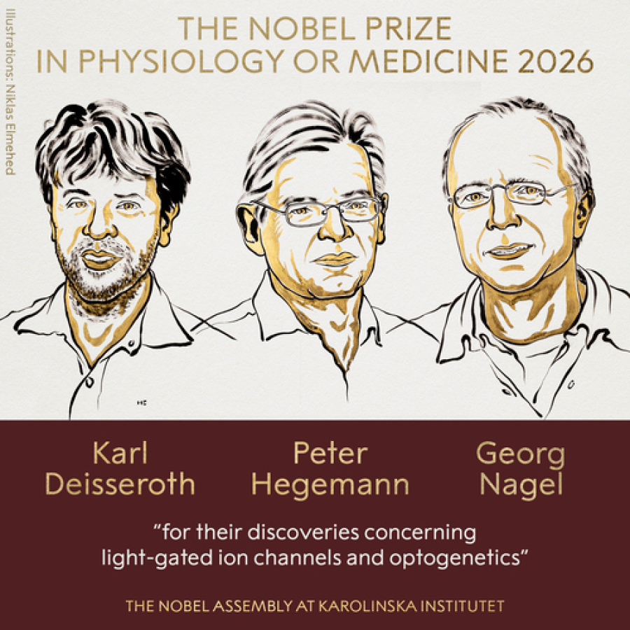 Nobel de Medicina 2026: premian a tres científicos por desarrollar la optogenética